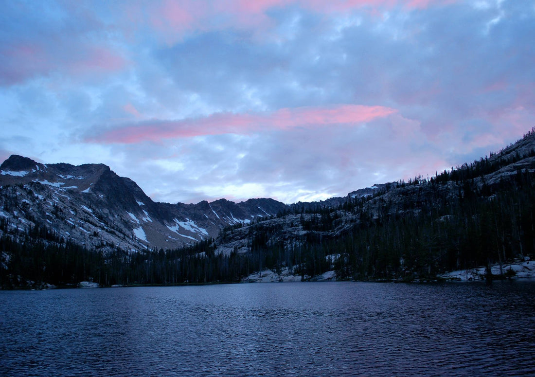 GIVING BACK...Your Purchase Supports Fisheries & Their Habitat