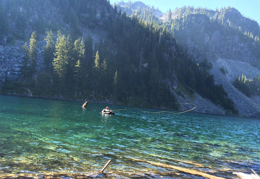 Where Fish Most Likely Feed in Widerness Lakes
